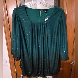NEW 2XL Roz & Ali Shimmery Blouse
